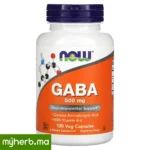 NOW Foods GABA 500 mg avec vitamine B6 100 capsules