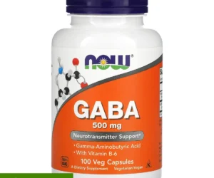 NOW Foods GABA 500 mg avec vitamine B6 100 capsules